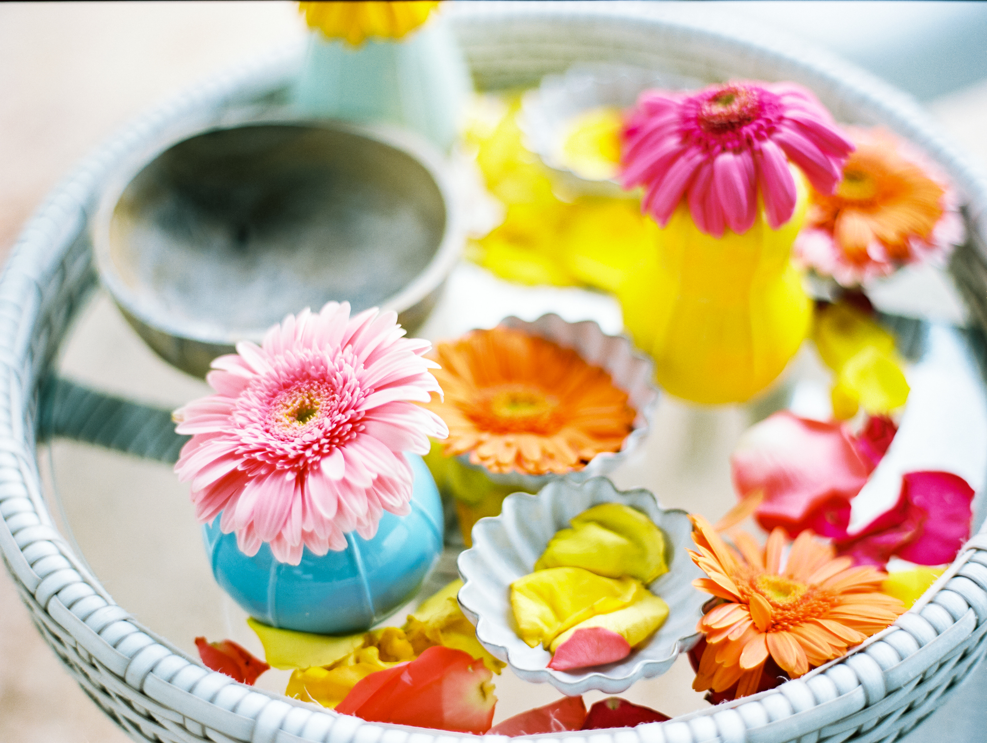 when pigs fly events