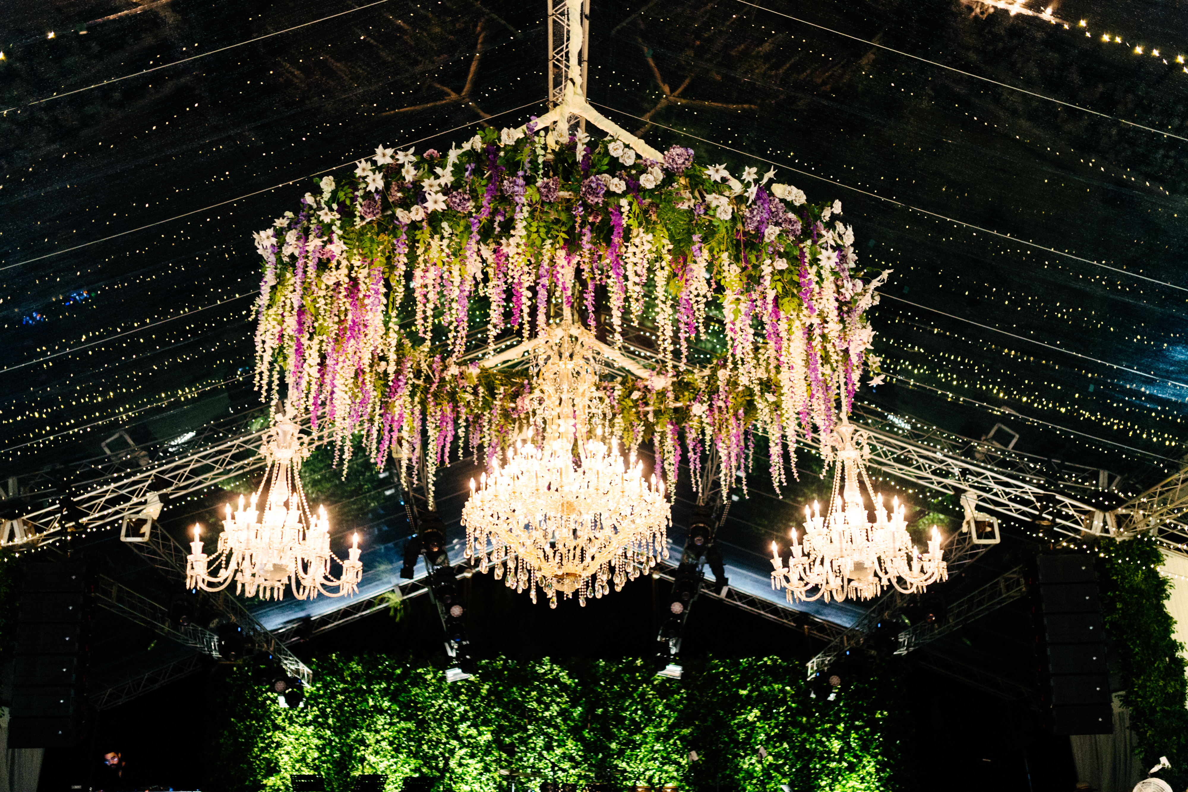 elvis andrus wedding