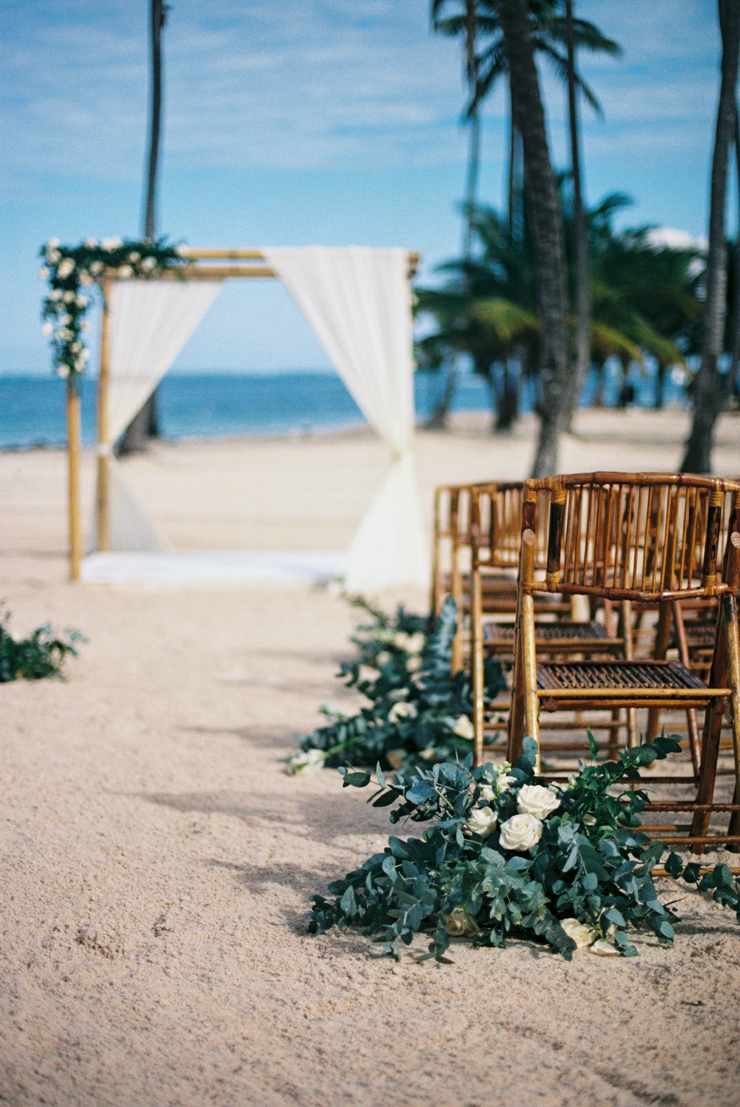 jellyfish punta cana
