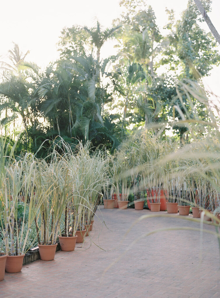 caribbean destination wedding