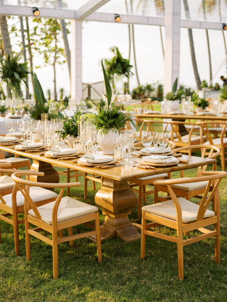 villa simba las terrenas