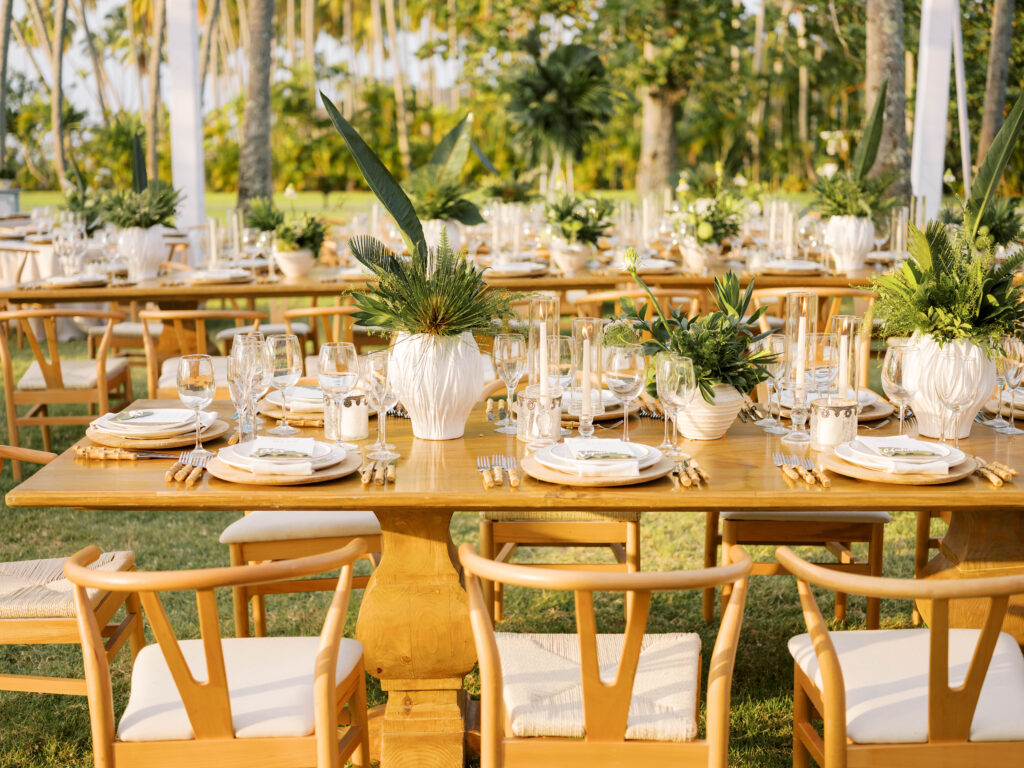 las terrenas samana wedding