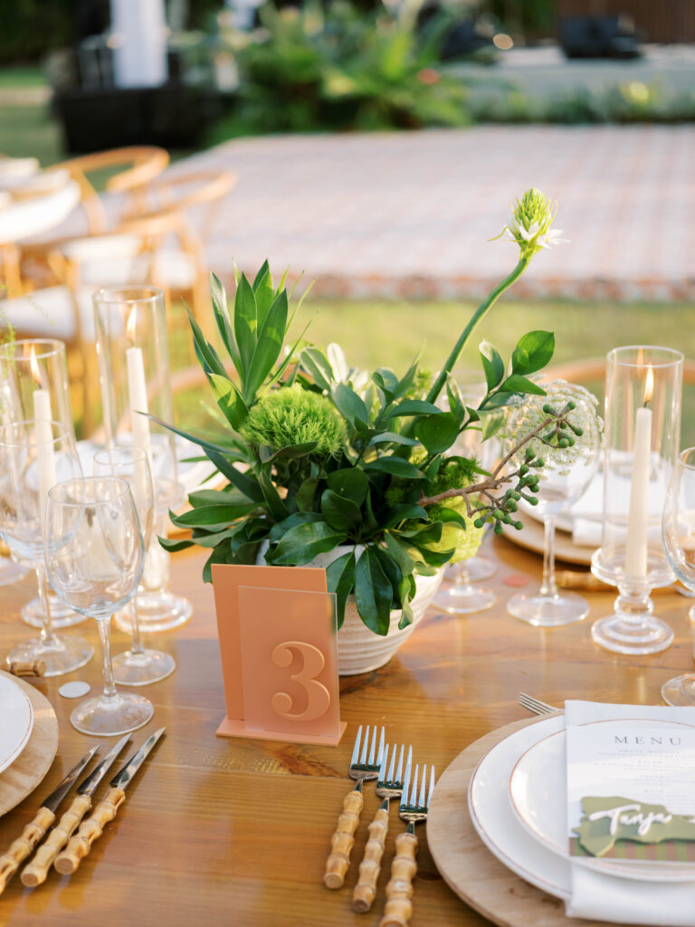 las terrenas wedding