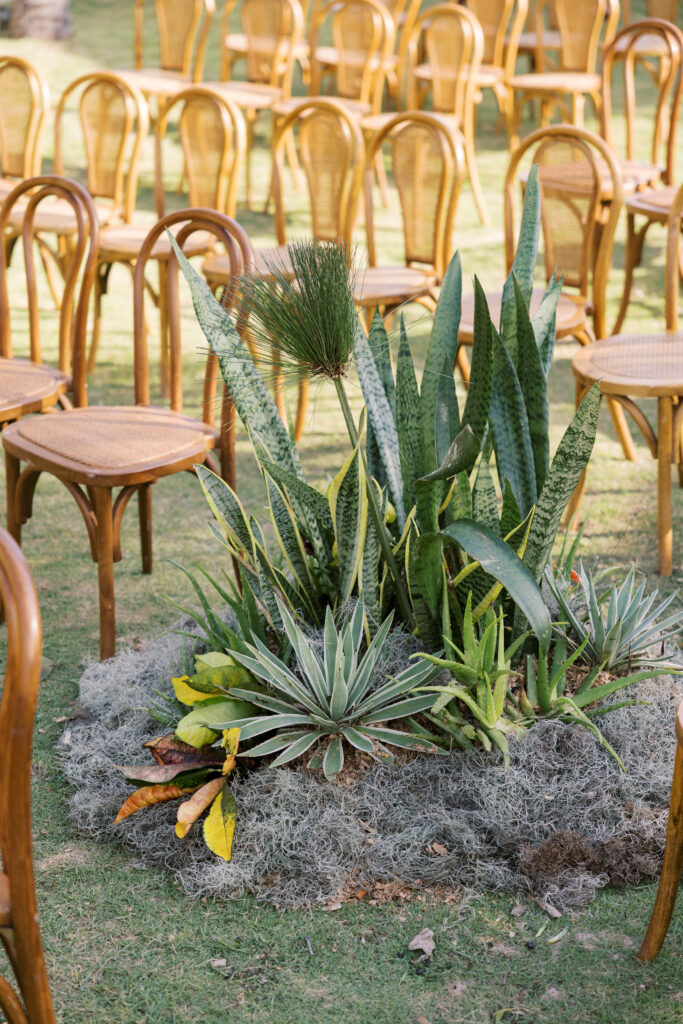 las terrenas wedding planner