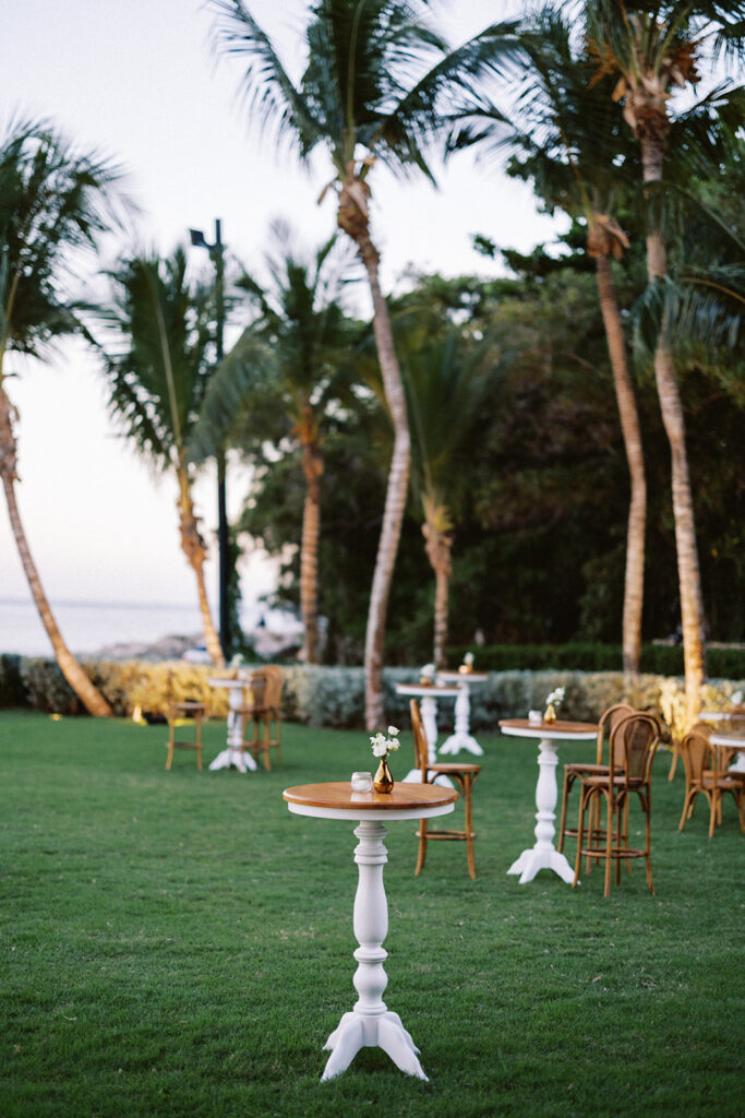 Marina casa de campo wedding