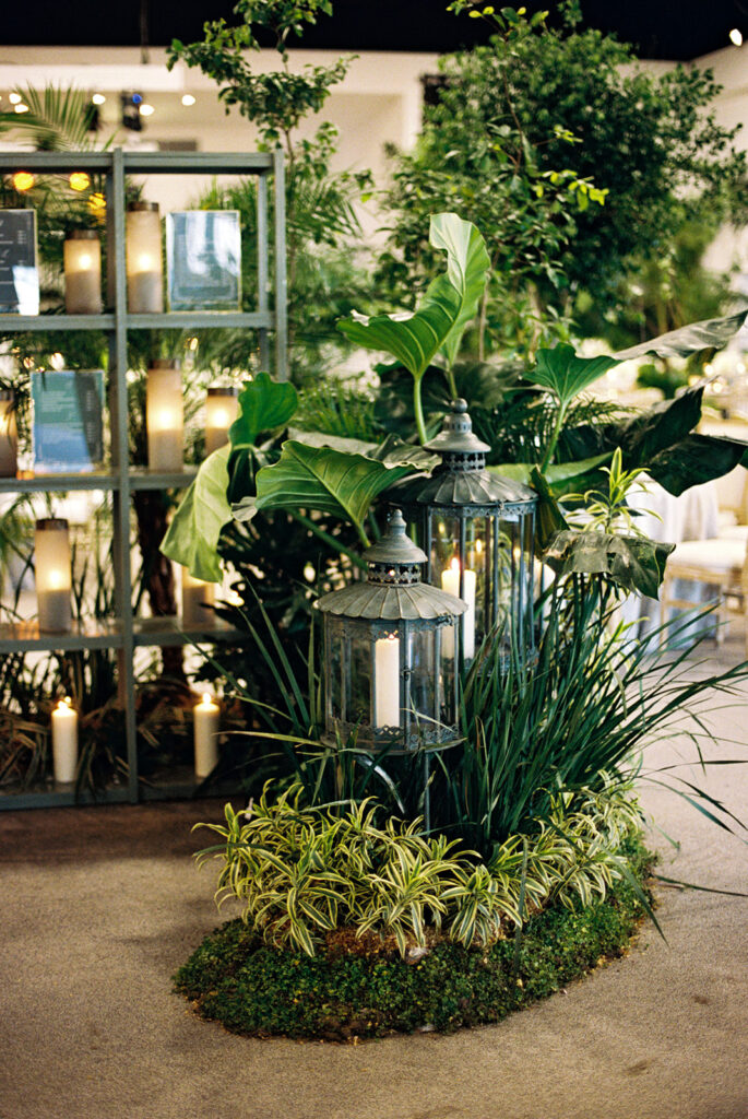 Jungle vibes wedding