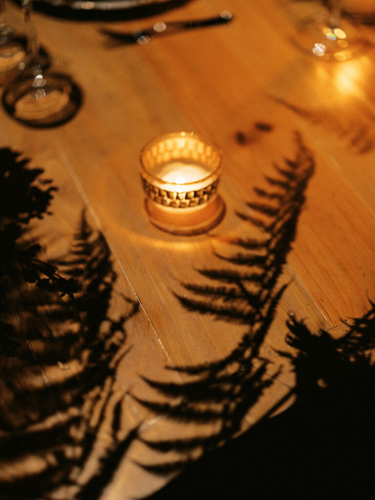 destination wedding in dr