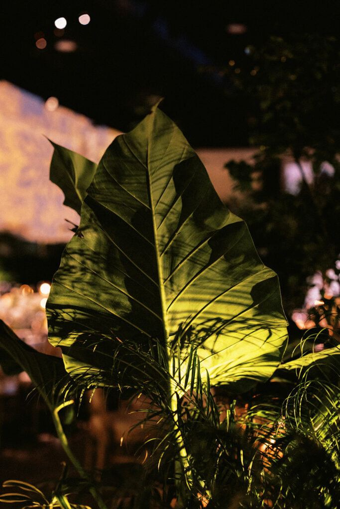 tropical decor wedding 