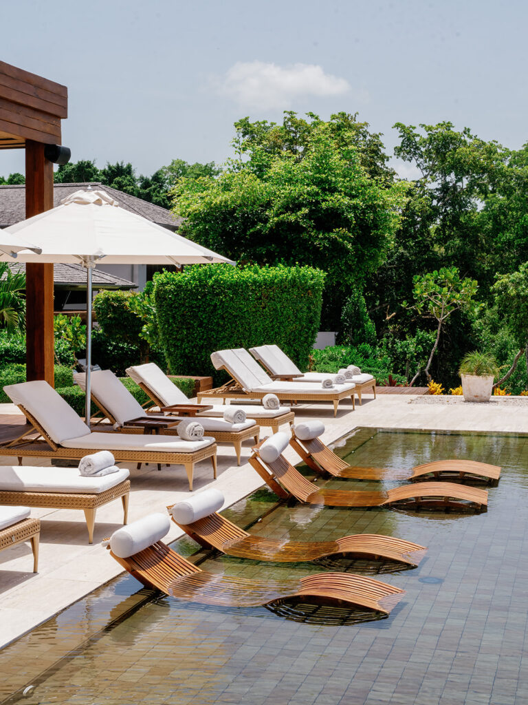 ani dominican republic