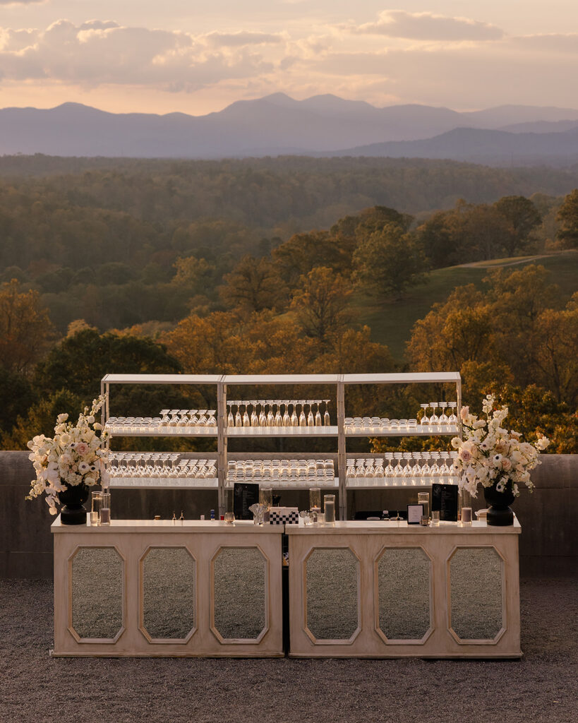 Biltmore wedding celebration