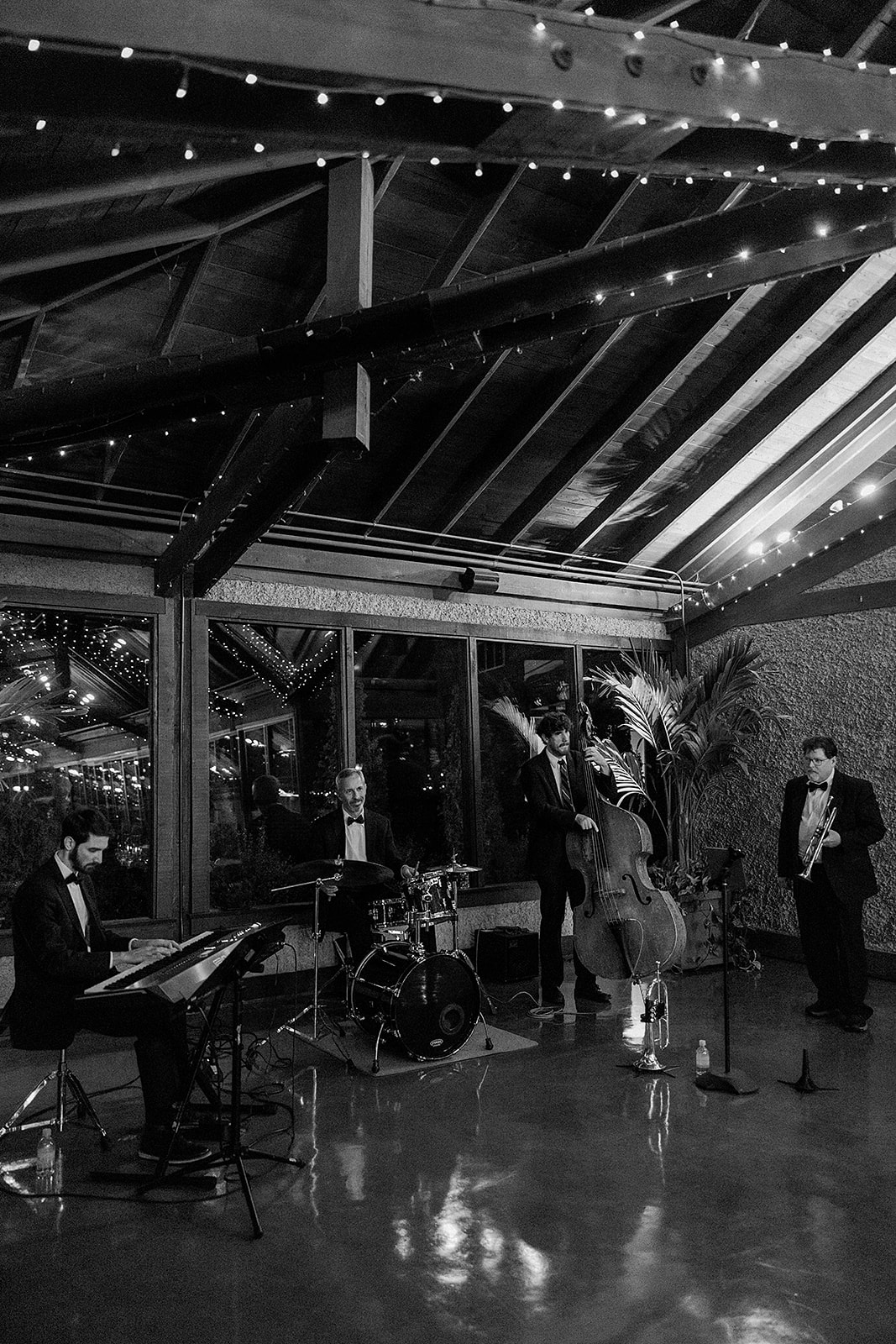 asheville wedding musicians