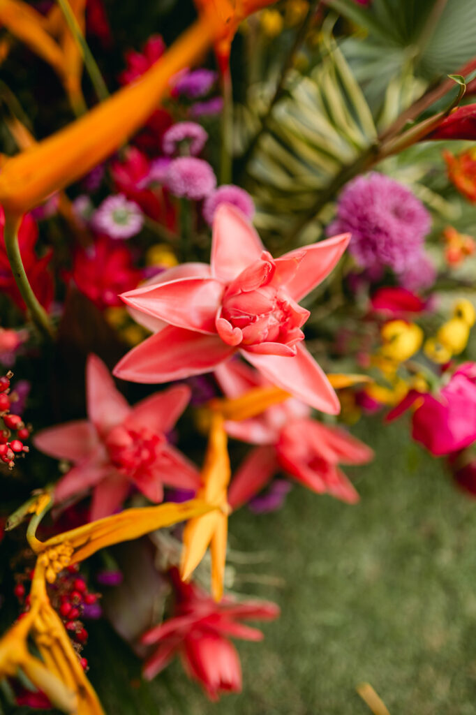 dominican republic wedding